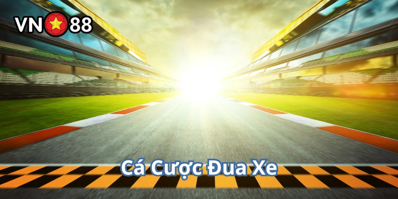 Cá Cược Đua Xe là gì? 