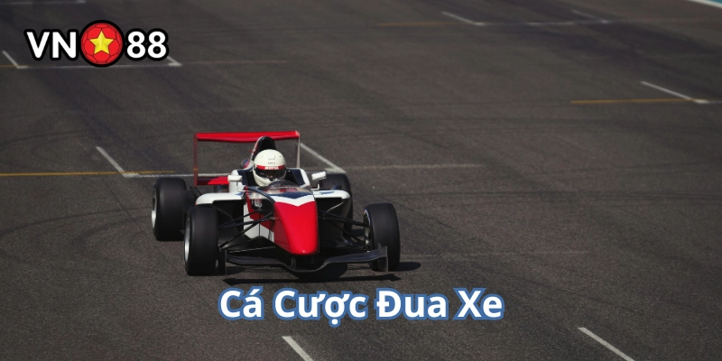 Lưu ý khi chơi Cá Cược Đua Xe